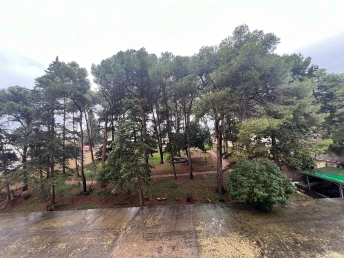 Location Appartement F2 Alger Hydra