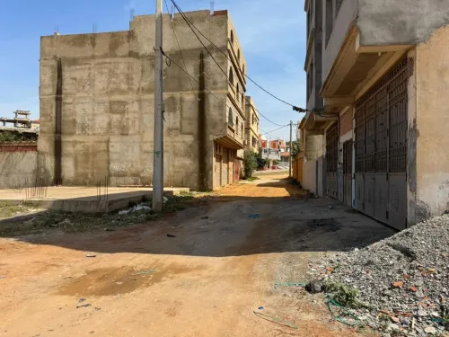 Vente Terrain Tipaza Bou ismail