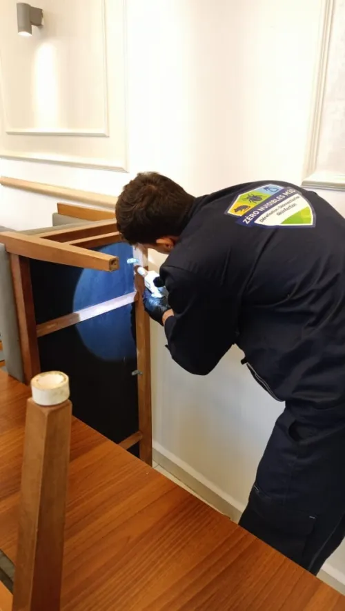 Service désinsectisation Anti cafards