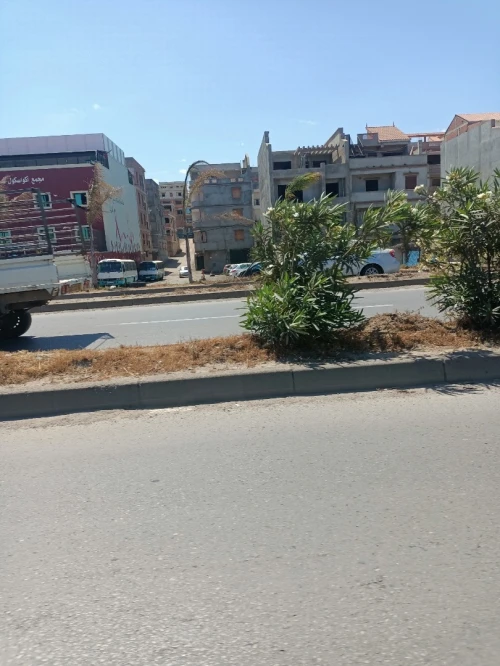 Vente Terrain Alger Bordj el kiffan