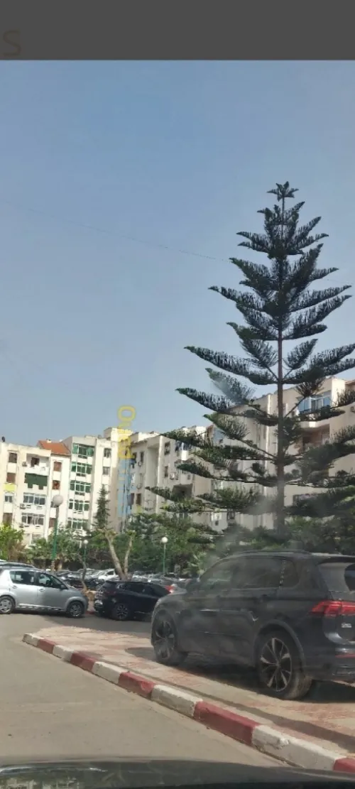 Location Appartement F3 Alger Bab ezzouar