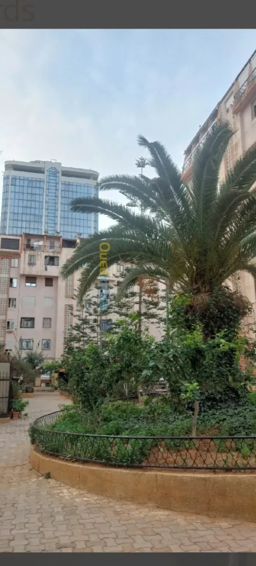 Location Appartement F3 Alger Mohammadia