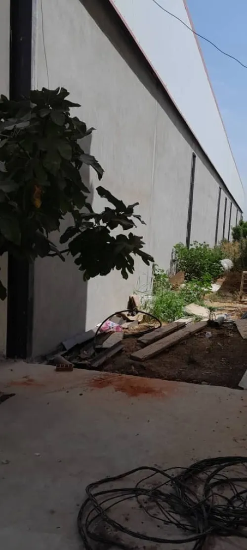 Location Hangar Alger Oued smar