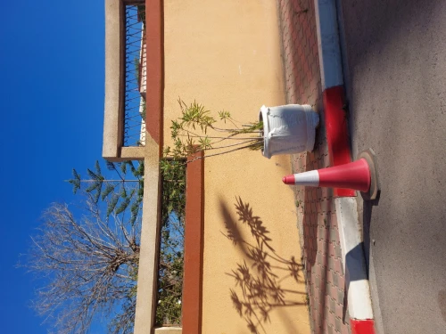 Vente Terrain Alger Mohammadia