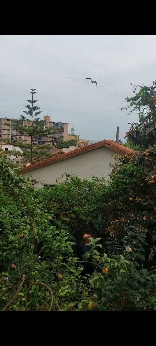 Vente Villa Alger Mohammadia