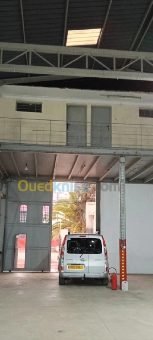 Vente Hangar - Usine Alger Rouiba