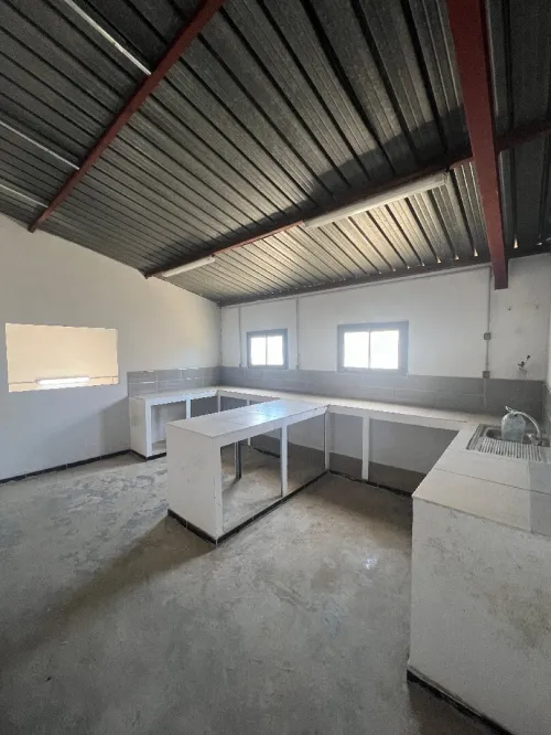 Vente Hangar Alger Reghaia