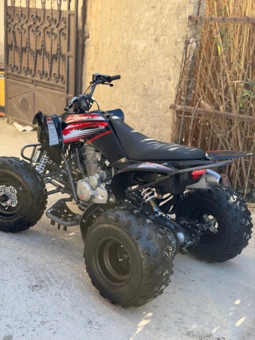 quad Vms 250cc 2025