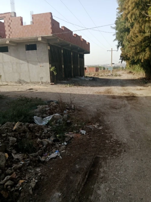 Vente Terrain Blida Ouled el alleug
