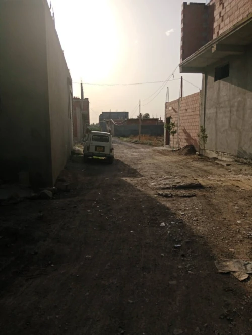 Vente Terrain Blida Ouled el alleug