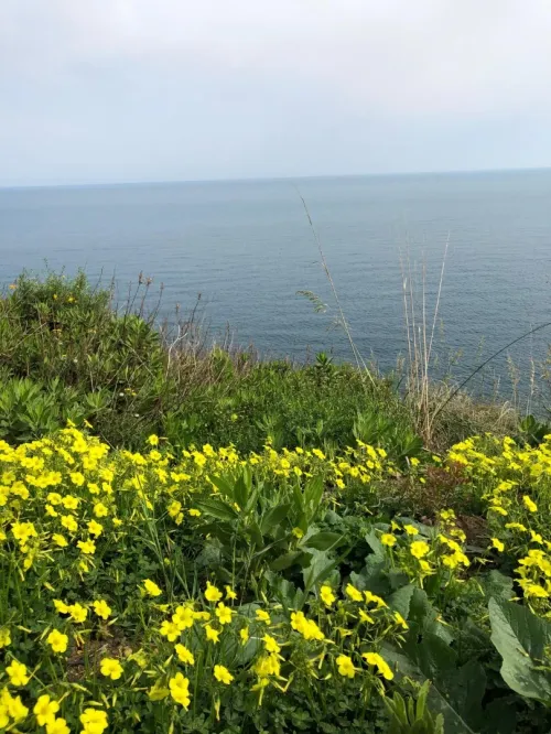 Vente Villa Tizi Ouzou Azeffoun