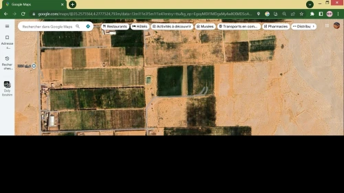 Vente Terrain Agricole M'Sila Bou saada