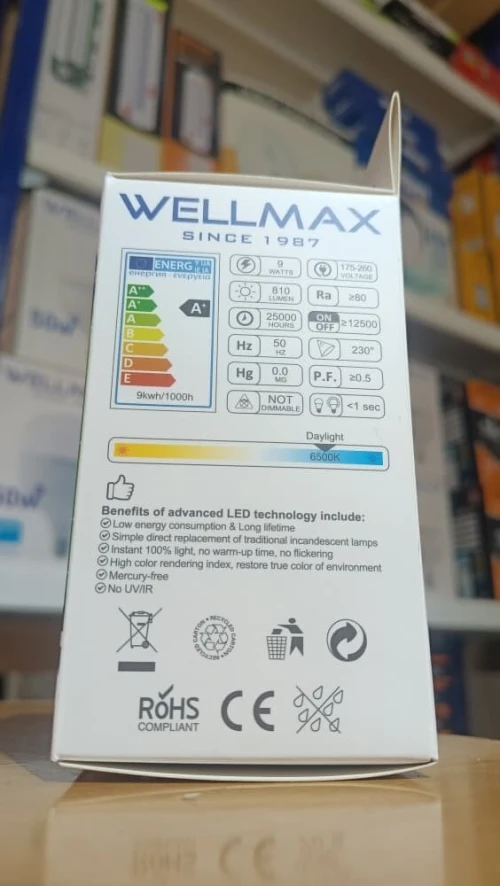 Lampe détecteurs de mouvement Wellmax 09w et 18w