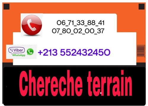 Cherche achat Terrain Aïn Defla Boumedfaa