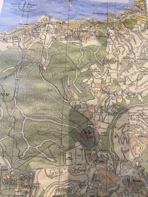 Vente Terrain Alger Bouzareah