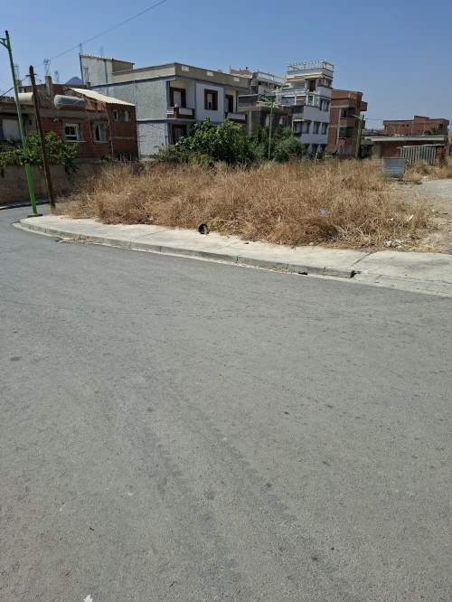 Vente Terrain Bouira Bechloul 7