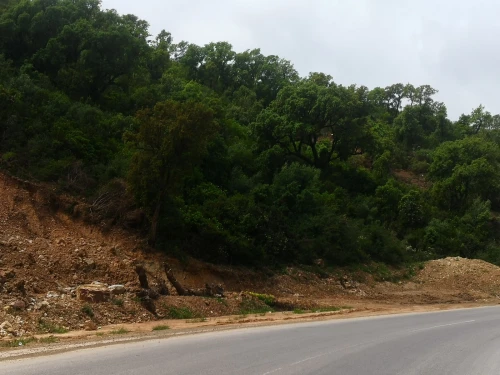 Vente Terrain Béjaïa El kseur