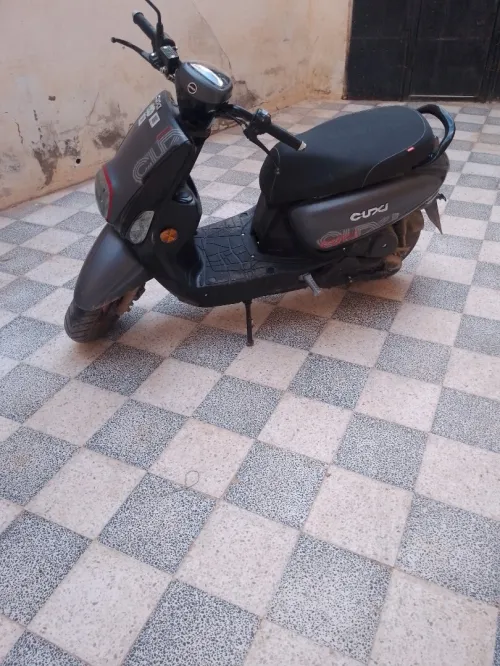 Cuxi Cuxi2 2025