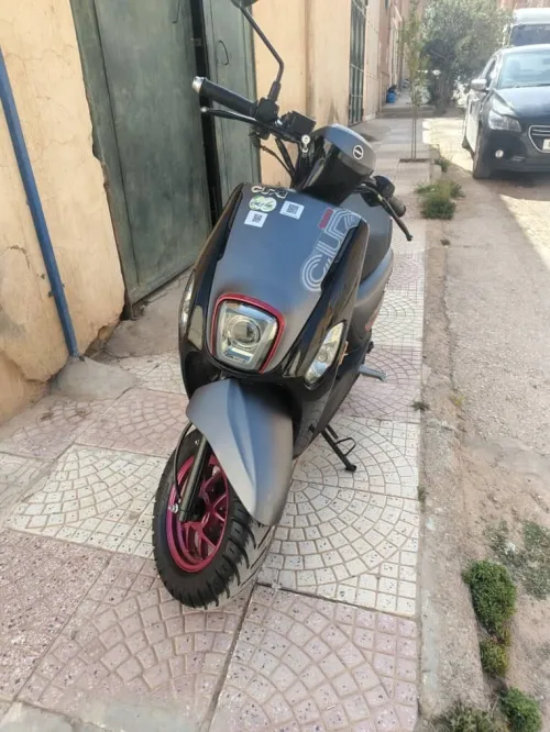 Cuxi Cuxi2 2025
