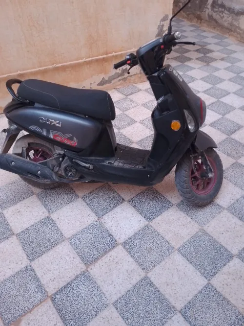 Cuxi Cuxi2 2025