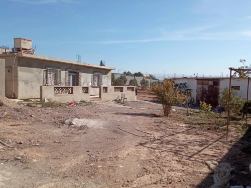 Location Terrain Agricole Tlemcen Remchi