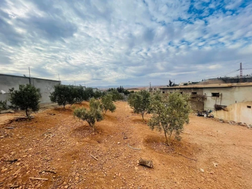 Location Terrain Agricole Tlemcen Remchi