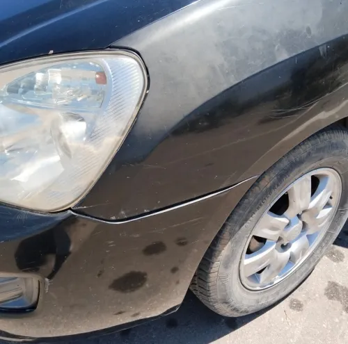 Kia Carens 2007 