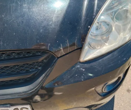 Kia Carens 2007 