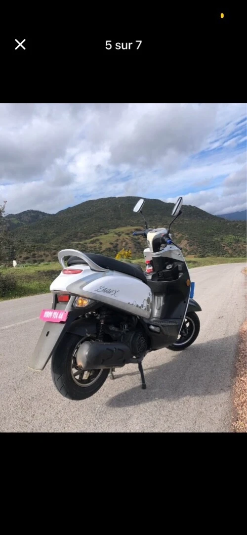 Vms Estate X 2024