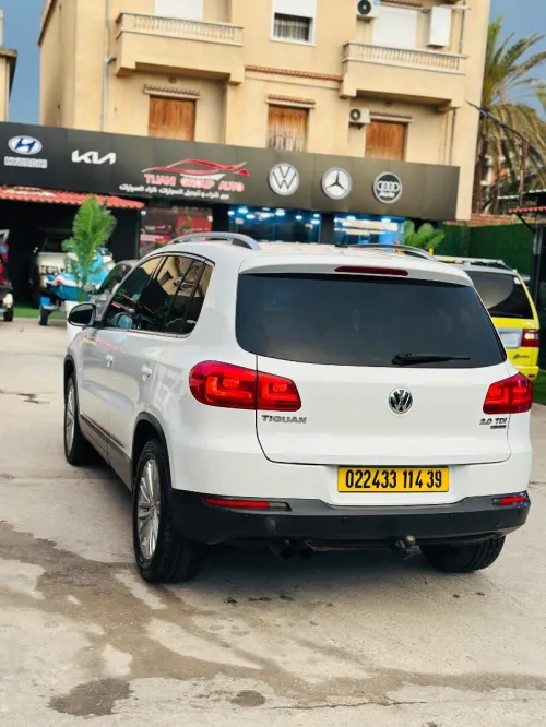 Volkswagen Tiguan 2014 Cup