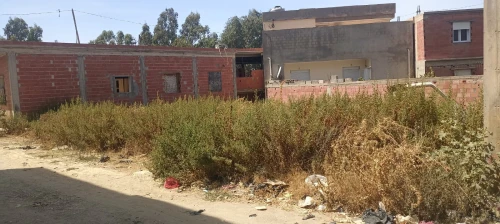 Vente Terrain Blida Ain romana