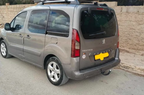 Peugeot Partner 2010 Tepee