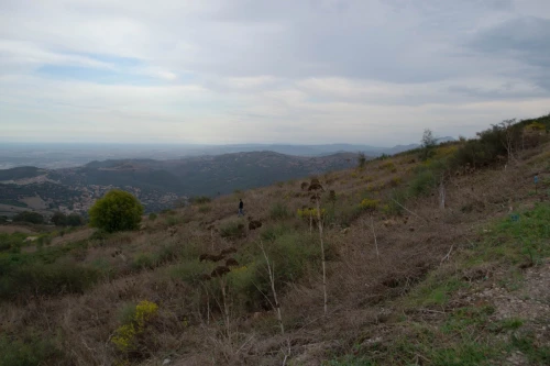 Vente Terrain Blida Djebara