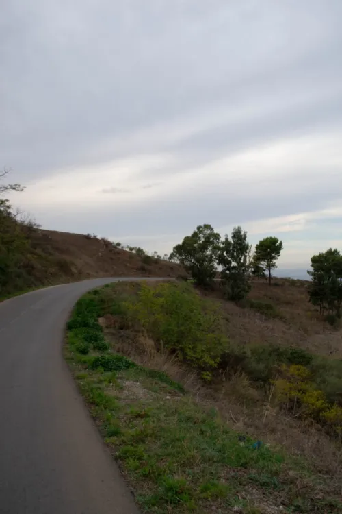 Vente Terrain Blida Djebara