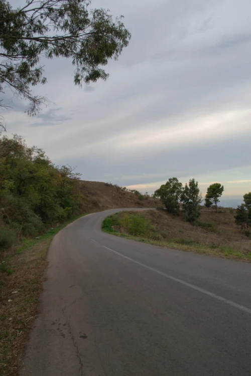 Vente Terrain Blida Djebara