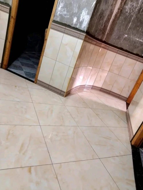 البناء المحترف