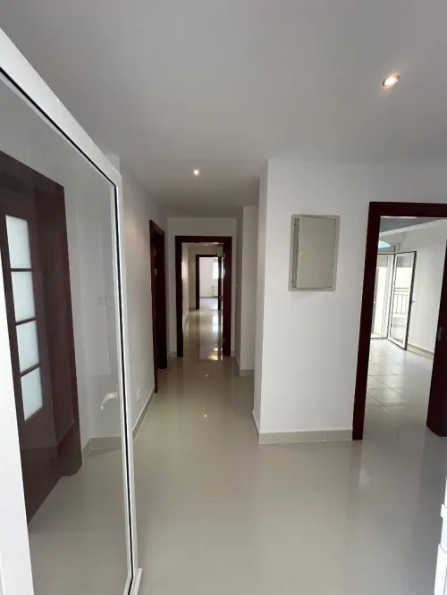 Location Appartement F4 Alger Cheraga