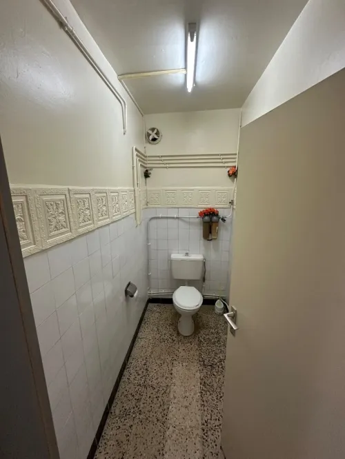 Location Appartement F3 Alger Dely brahim