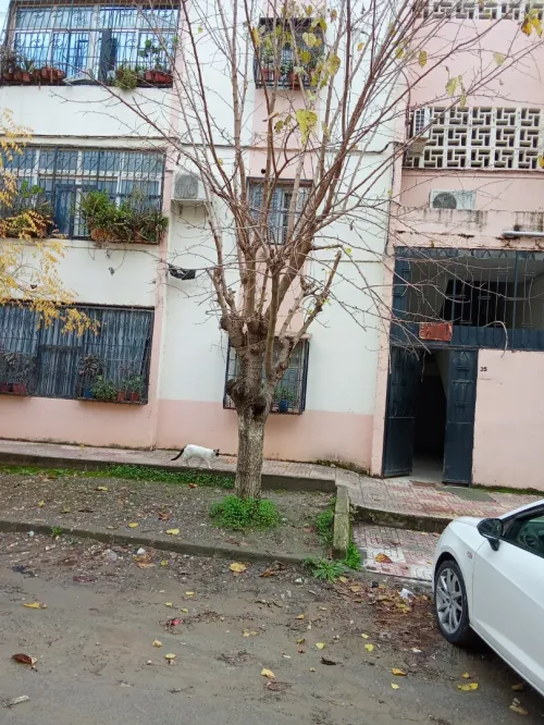Vente Appartement F3 Tizi Ouzou Tizi ouzou