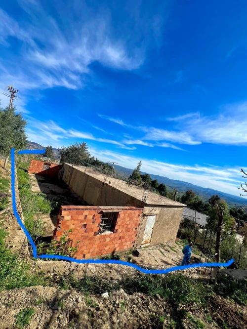 Vente Terrain Tissemsilt Bordj bou naama