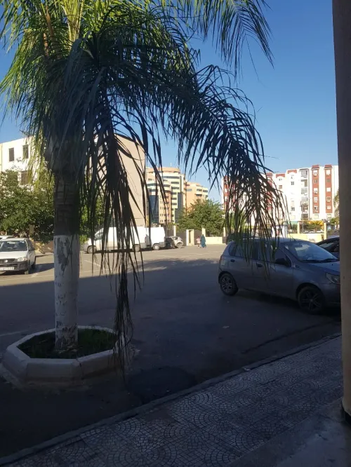 Location Local Alger Mohammadia