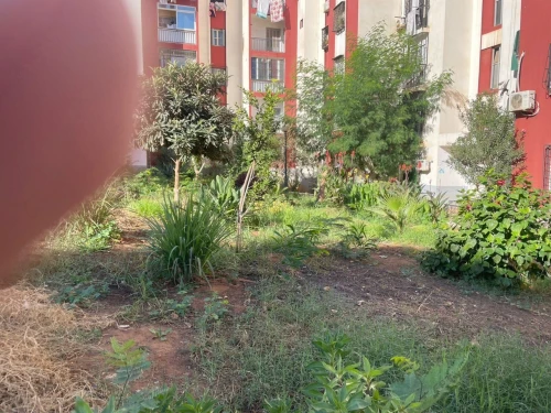 Vente Appartement F4 Alger Mohammadia