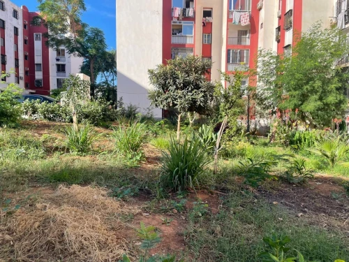 Vente Appartement F4 Alger Mohammadia