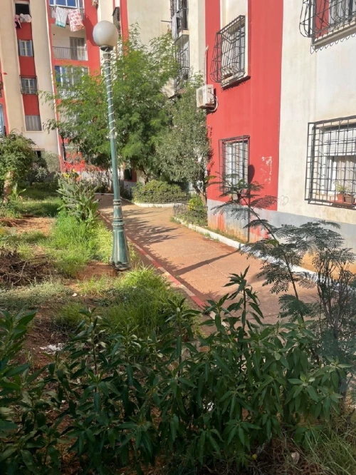 Vente Appartement F4 Alger Mohammadia