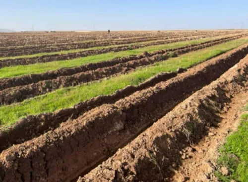 Vente Terrain Agricole Alger Khraissia