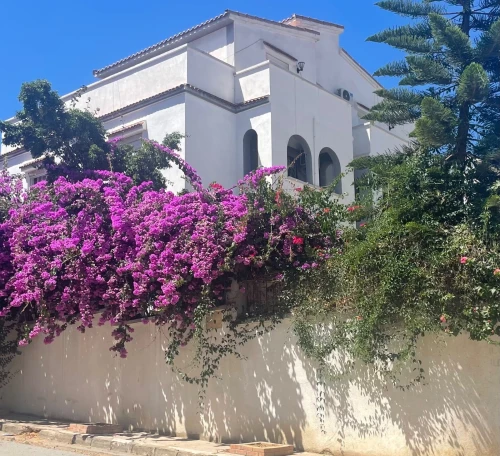 Location Appartement Niveau de villa F5 Alger Bouzareah