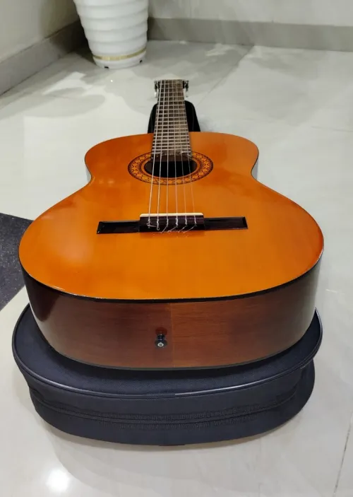 Des Guitares classiques professionnel