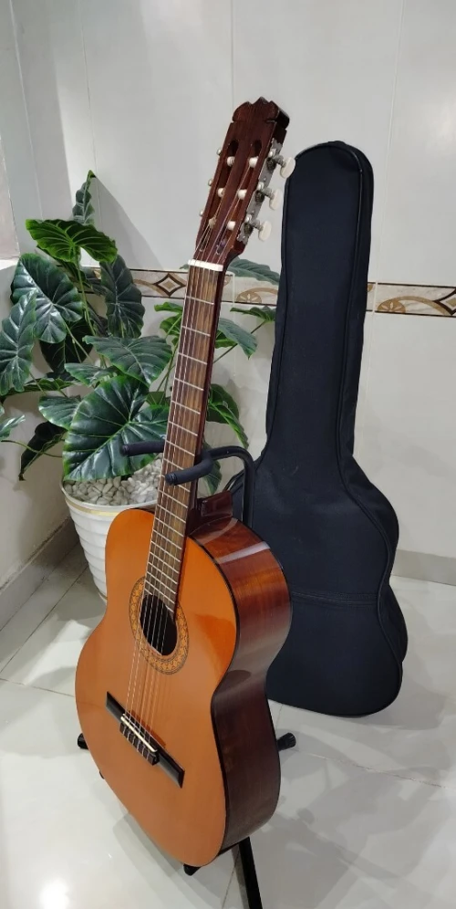 Des Guitares classiques professionnel