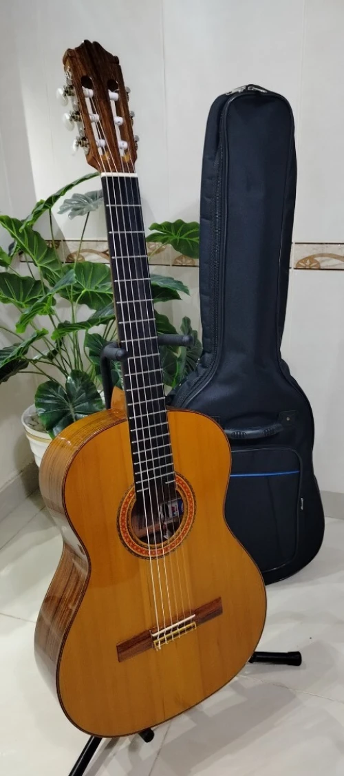 Des Guitares classiques professionnel