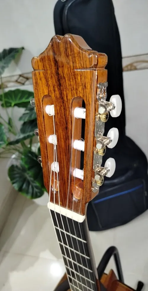 Des Guitares classiques professionnel